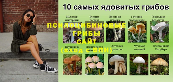 ECSTASY Абдулино