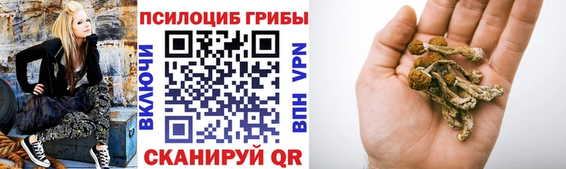 Галлюциногенные грибы Psilocybine cubensis Ковдор